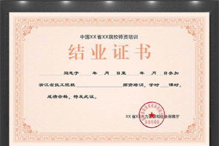 由晶心儿童注意力研究院颁发的结业证书